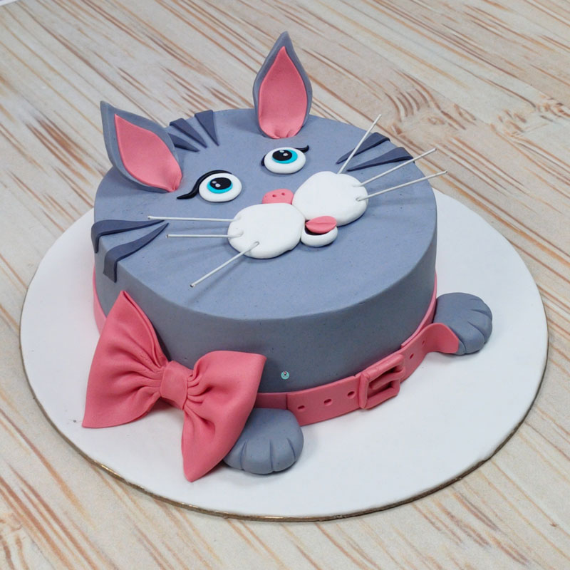 Little kitty | Birthday cake for cat, Kitten cake, Novelty birthday cakes